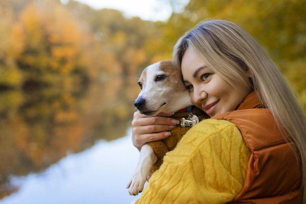Calculateur cbd chien : le guide ultime pour votre compagnon